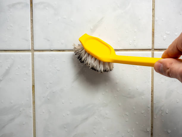 Best Affordable Mold Removal  in Poquonock Bridge, CT